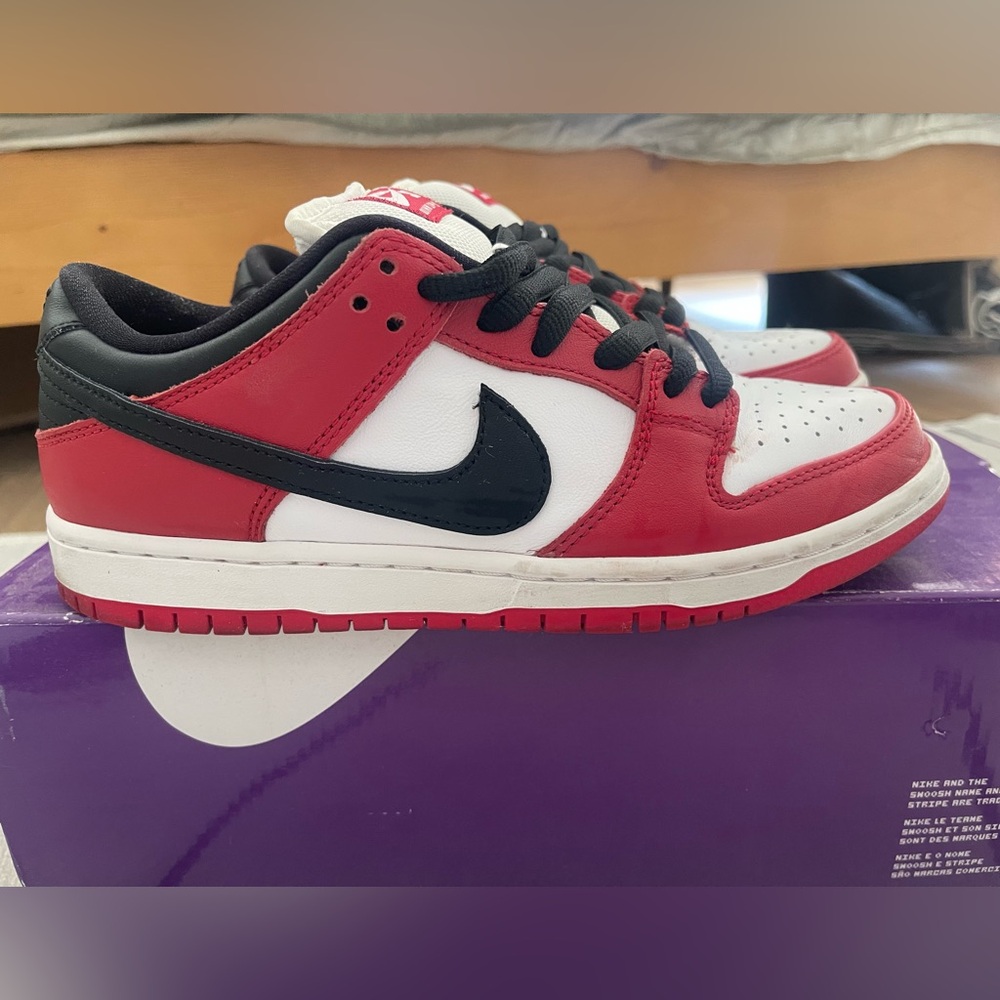 Nike SB Dunk Low Pro